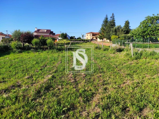 Terreno para Venda em Forjães Foto 5