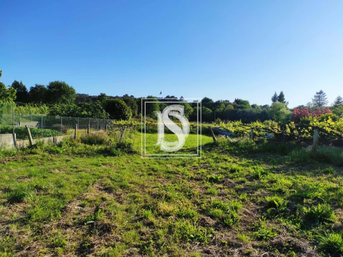Terreno para Venda em Forjães Foto 6