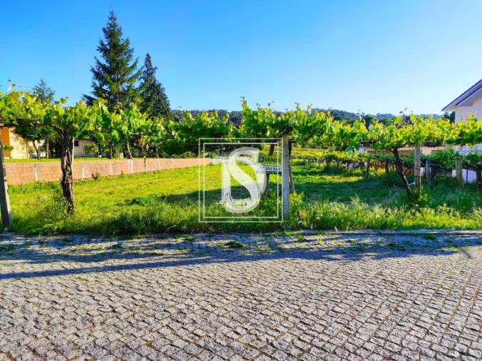 Terreno para Venda em Forjães Foto 1