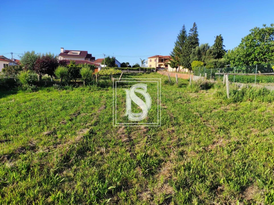 Terreno para Venda em Forjães Foto 5