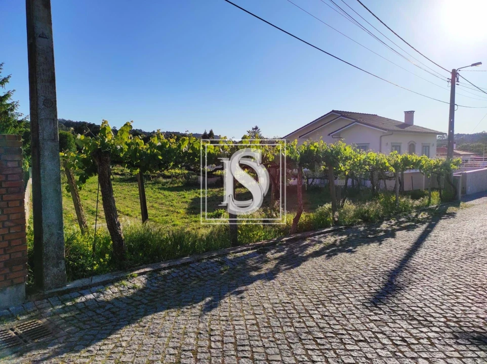 Terreno para Venda em Forjães Foto 2