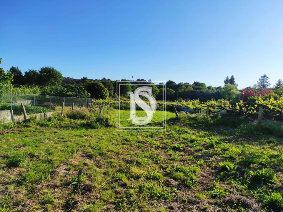 Terreno para Venda em Forjães Foto 6