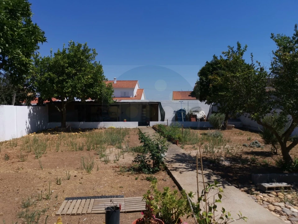 Moradia T3 para Venda em São Miguel do Rio Torto e Rossio Ao Sul do Tejo Foto 14