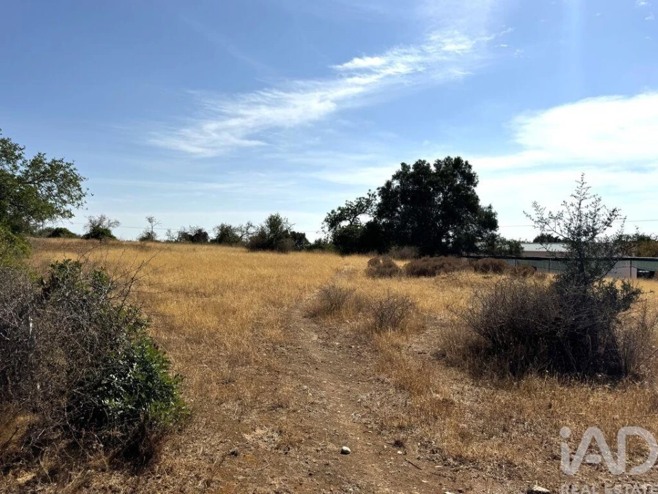Terreno para Venda em Santa Barbara de Nexe Foto 8