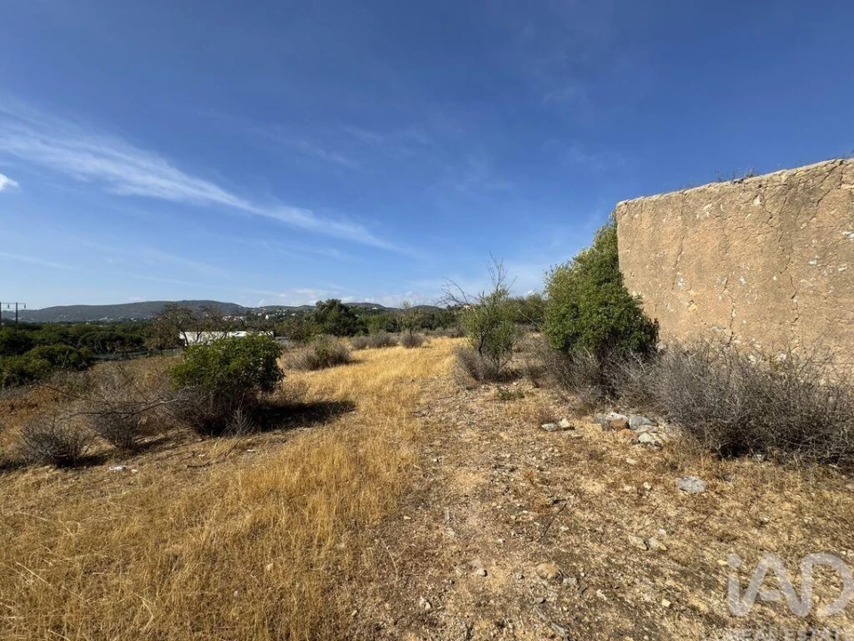 Terreno para Venda em Santa Barbara de Nexe Foto 13