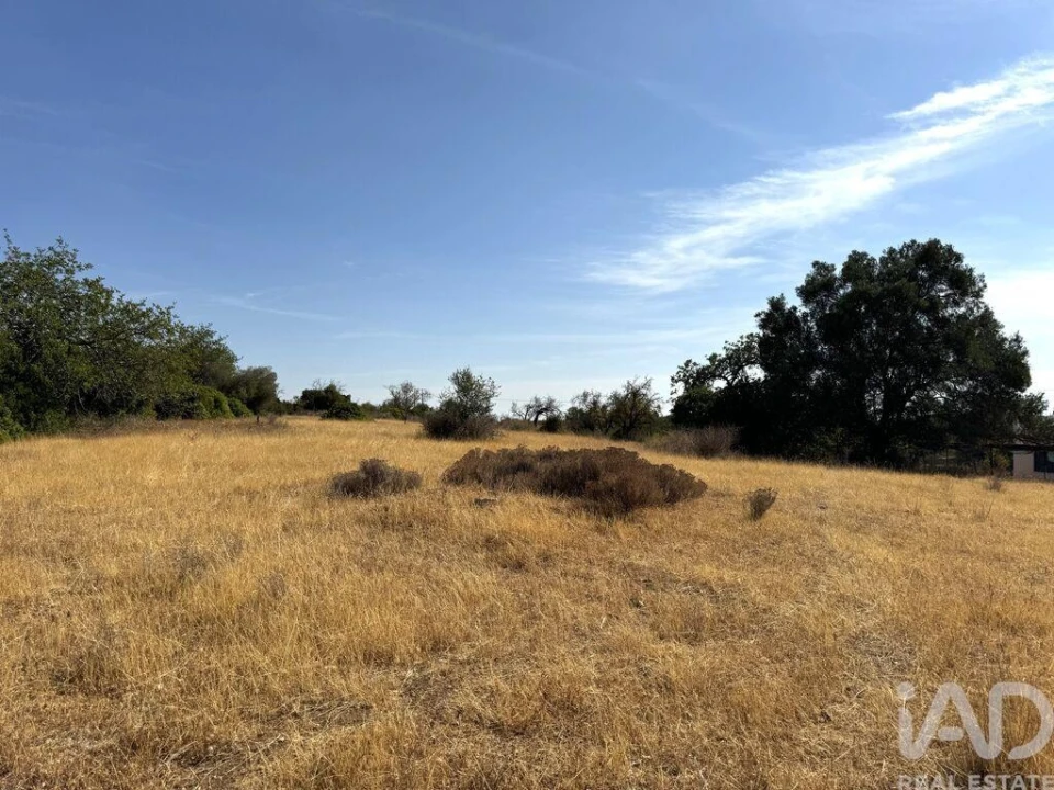 Terreno para Venda em Santa Barbara de Nexe Foto 9
