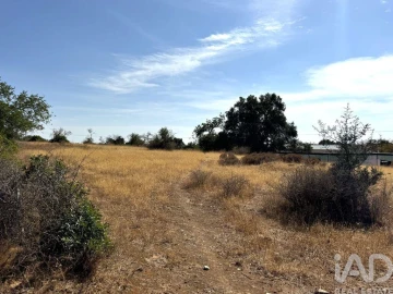 Terreno para Venda em Santa Barbara de Nexe