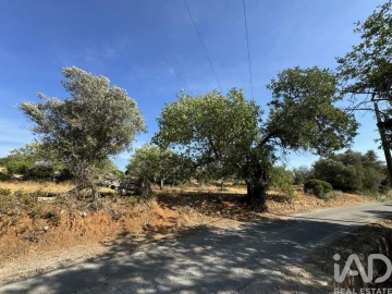 Terreno para Venda em Santa Barbara de Nexe