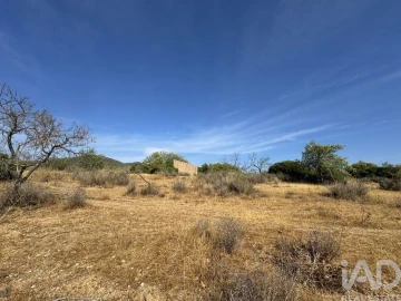 Terreno para Venda em Santa Barbara de Nexe