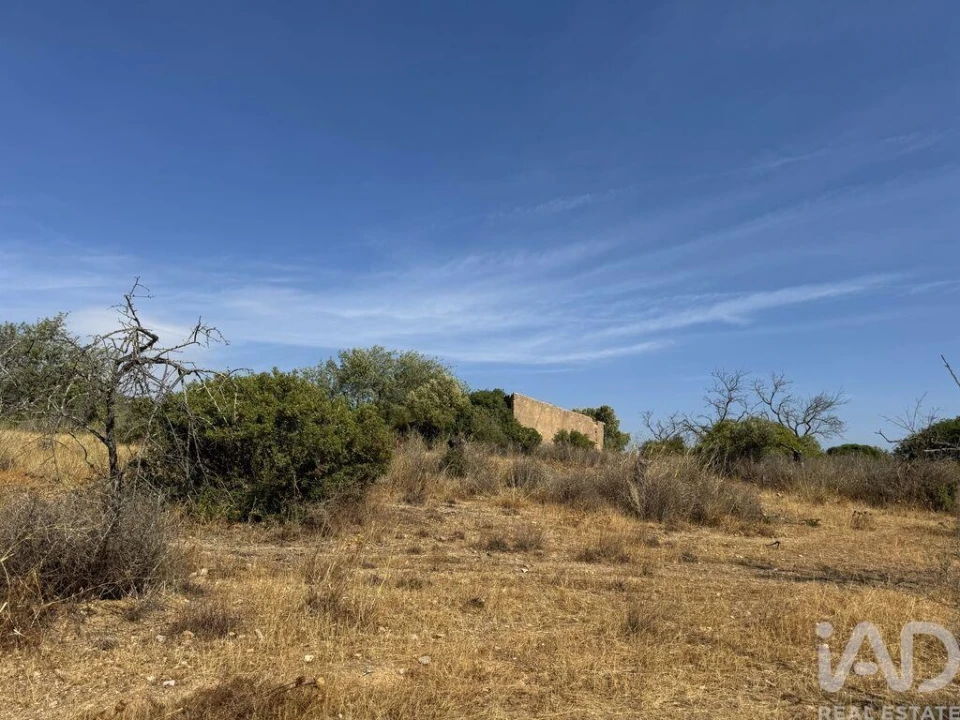 Terreno para Venda em Santa Barbara de Nexe Foto 10
