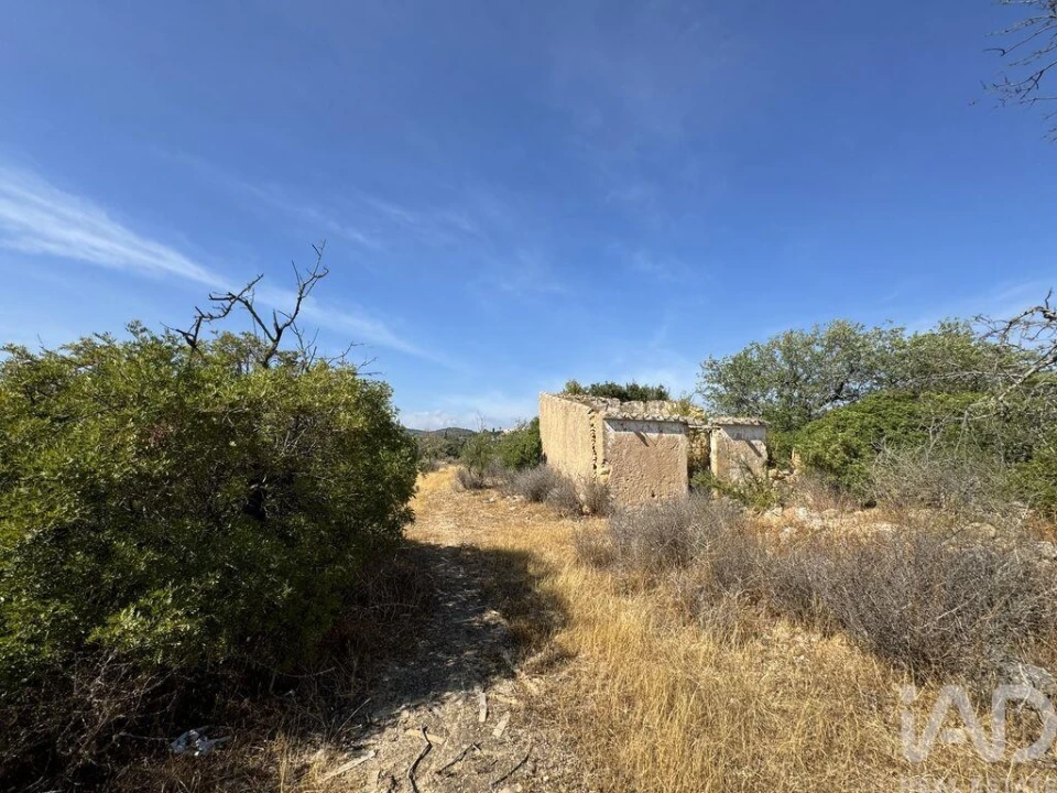 Terreno para Venda em Santa Barbara de Nexe Foto 2
