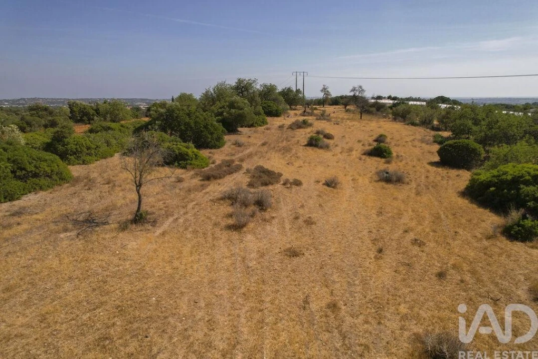 Terreno para Venda em Santa Barbara de Nexe Foto 7