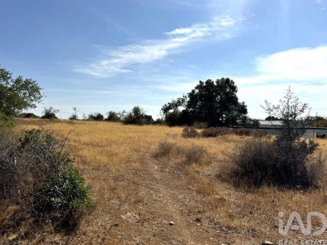 Terreno para Venda em Santa Barbara de Nexe Foto 8