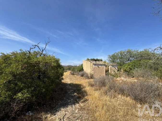 Terreno para Venda em Santa Barbara de Nexe Foto 2