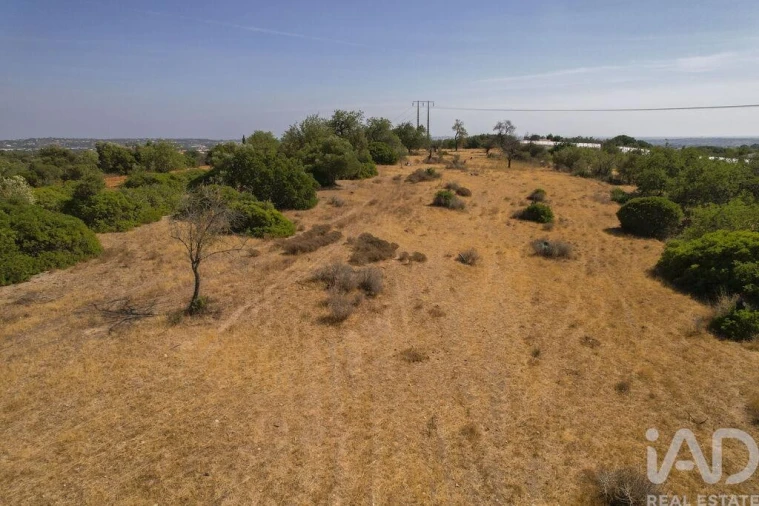 Terreno para Venda em Santa Barbara de Nexe Foto 7