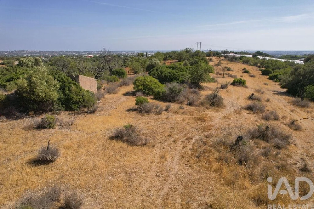 Terreno para Venda em Santa Barbara de Nexe Foto 6