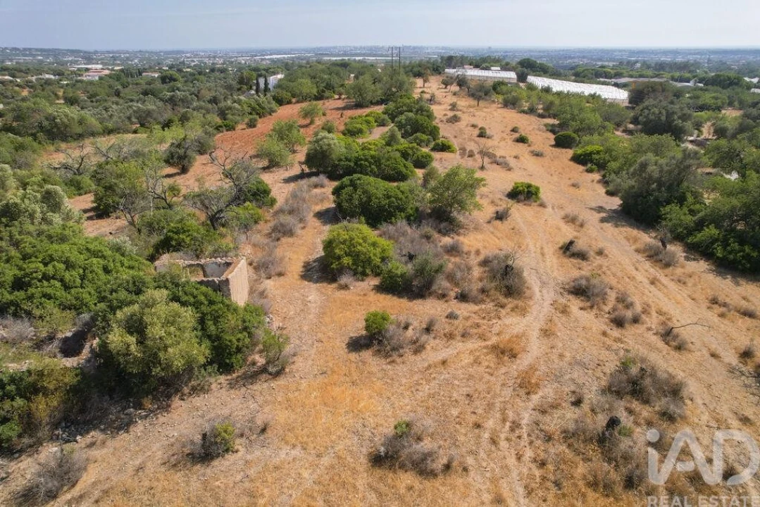 Terreno para Venda em Santa Barbara de Nexe Foto 5