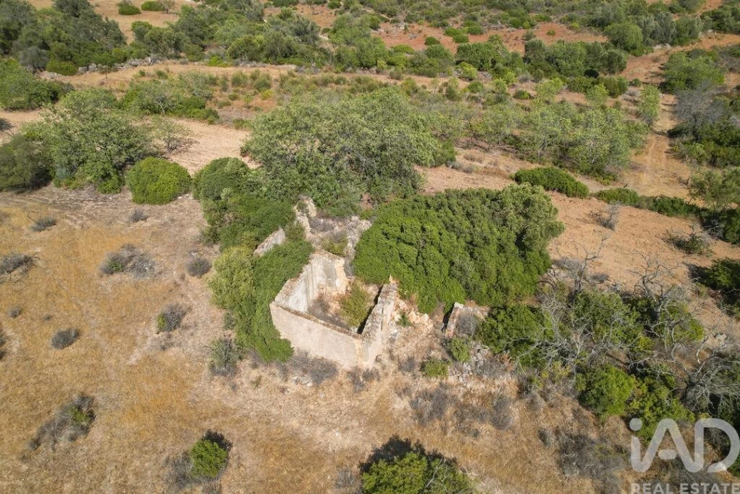 Terreno para Venda em Santa Barbara de Nexe Foto 4