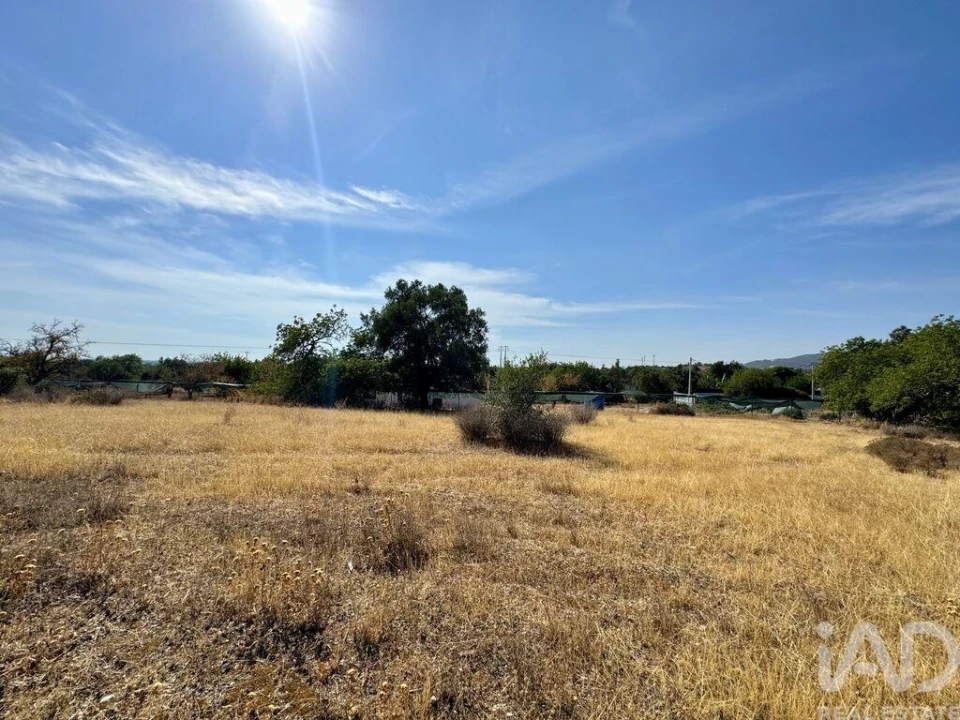 Terreno para Venda em Santa Barbara de Nexe Foto 15