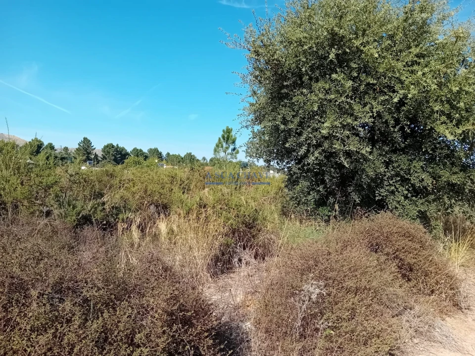 Terreno para Venda em Palmela Foto 2