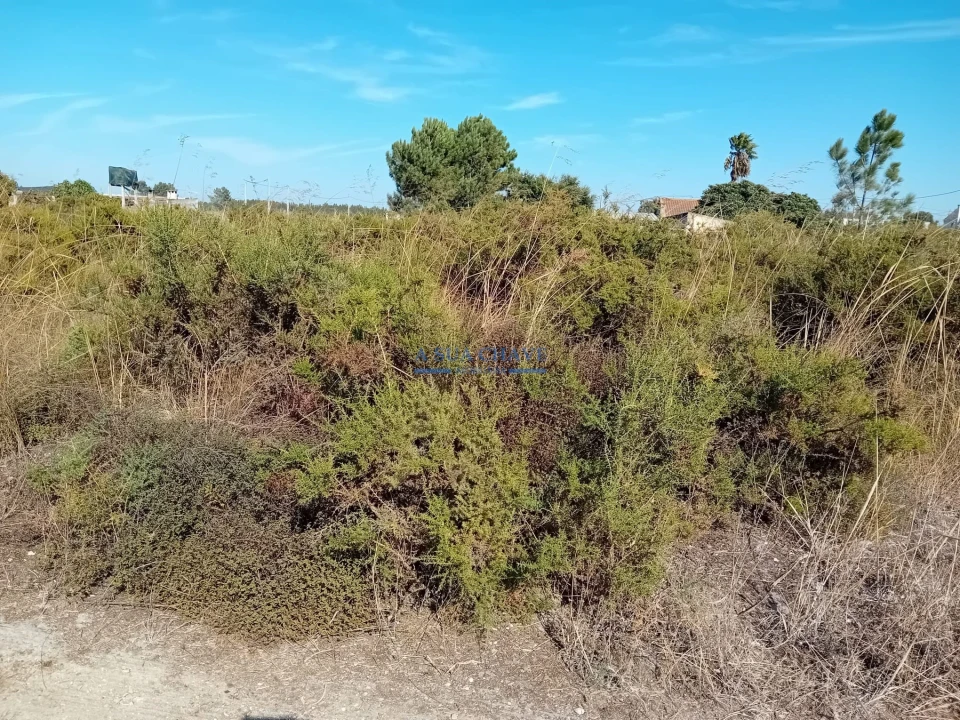 Terreno para Venda em Palmela Foto 17