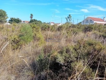 Terreno para Venda em Palmela