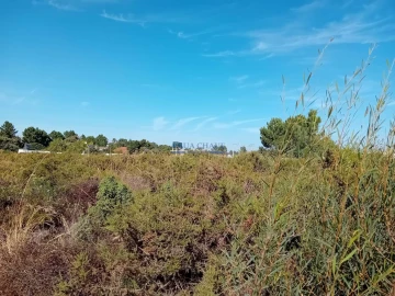 Terreno para Venda em Palmela