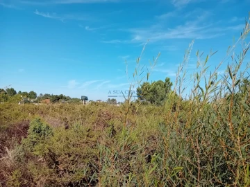 Terreno para Venda em Palmela