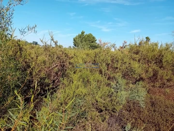 Terreno para Venda em Palmela