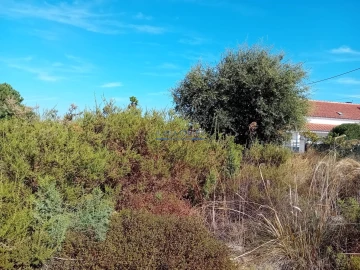 Terreno para Venda em Palmela