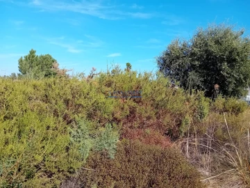 Terreno para Venda em Palmela