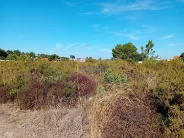 Terreno para Venda em Palmela