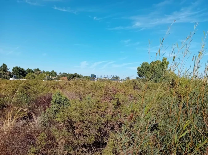 Terreno para Venda em Palmela Foto 11