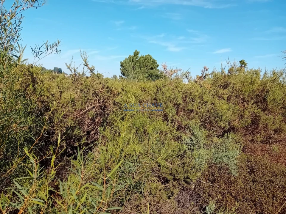 Terreno para Venda em Palmela Foto 7