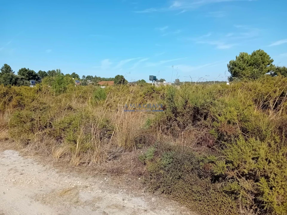 Terreno para Venda em Palmela Foto 17