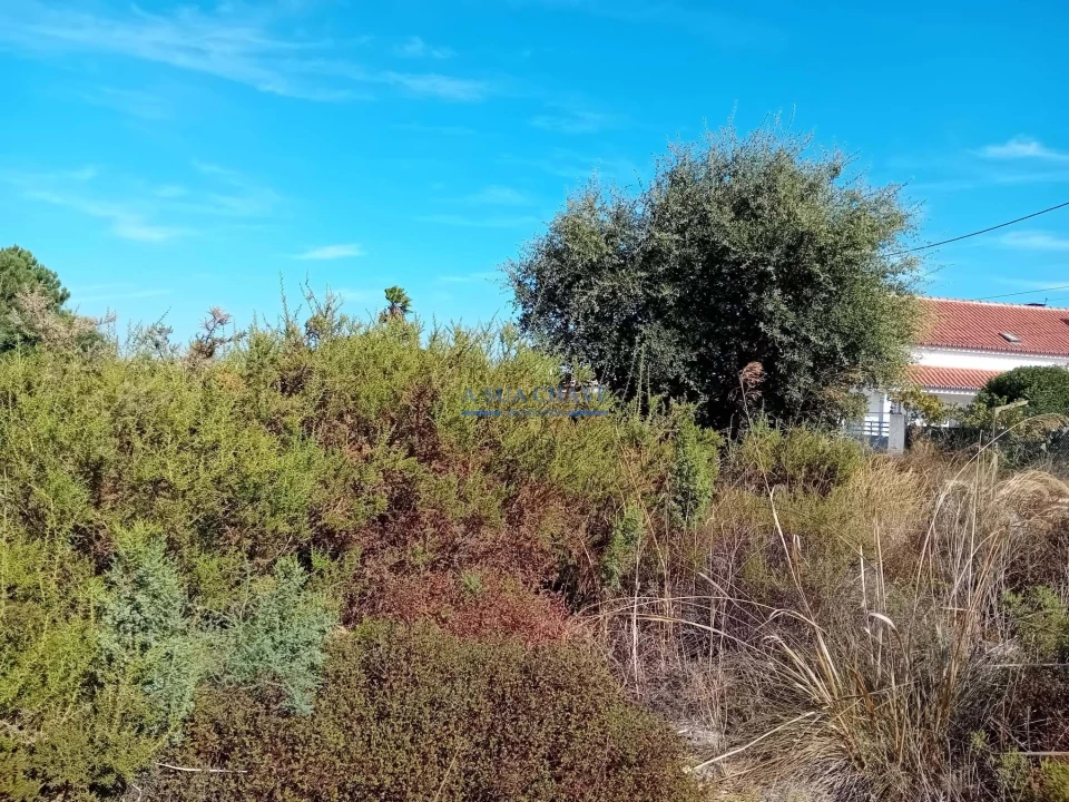 Terreno para Venda em Palmela Foto 7