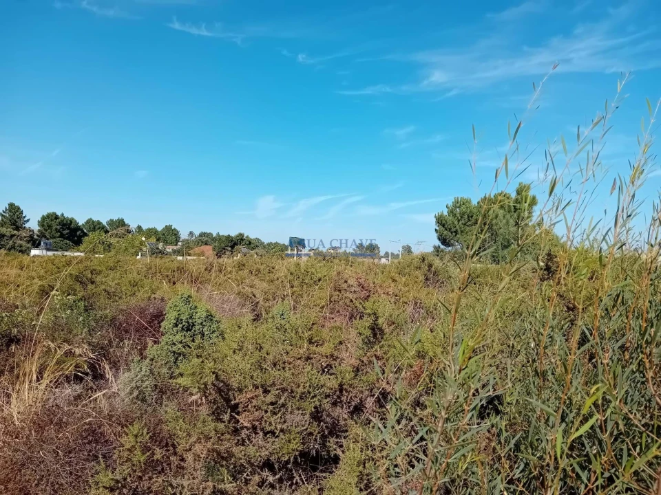 Terreno para Venda em Palmela Foto 12