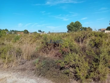 Terreno para Venda em Palmela