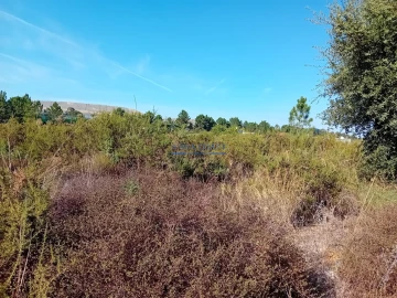 Terreno para Venda em Palmela