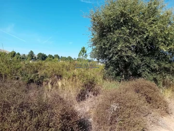 Terreno para Venda em Palmela