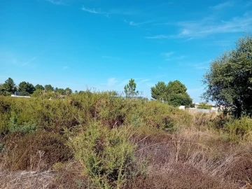 Terreno para Venda em Palmela