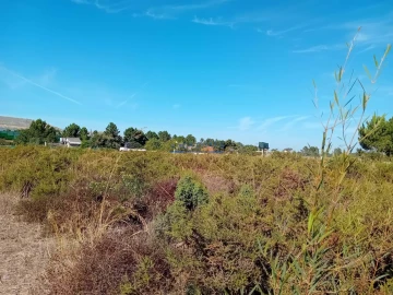 Terreno para Venda em Palmela