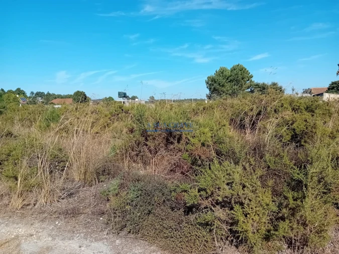 Terreno para Venda em Palmela Foto 16