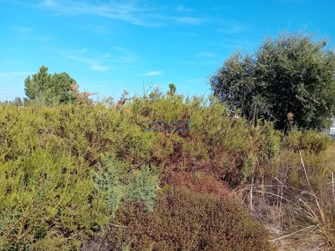 Terreno para Venda em Palmela Foto 6