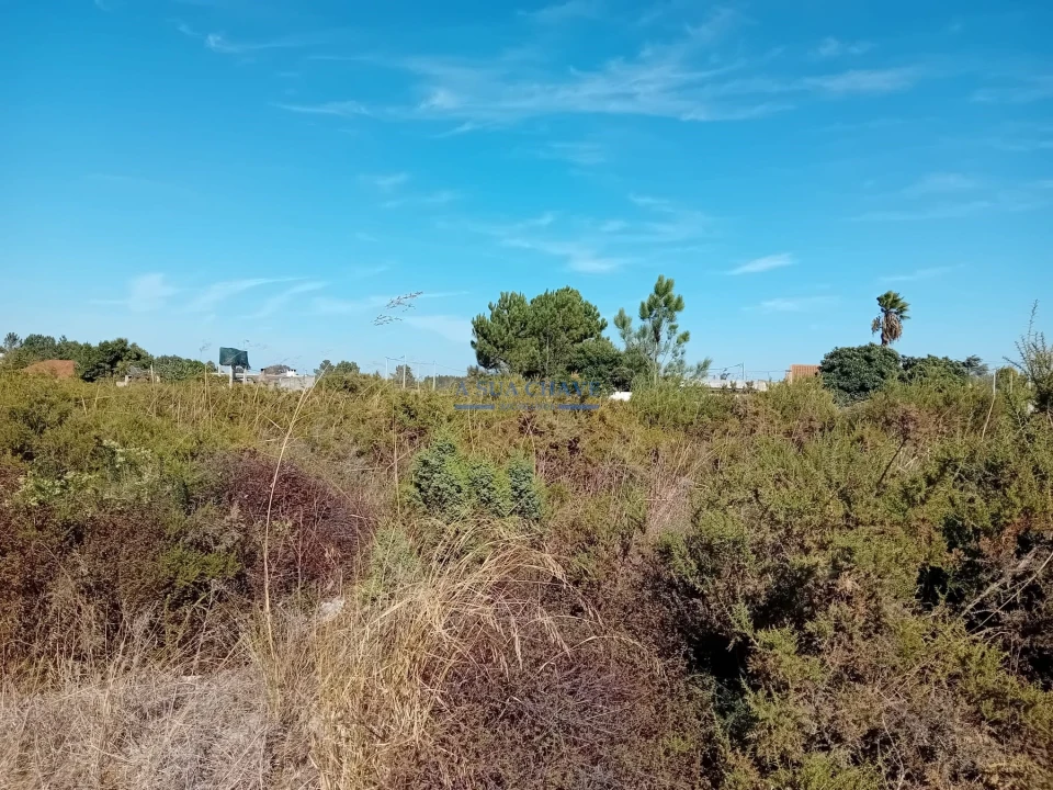 Terreno para Venda em Palmela Foto 14