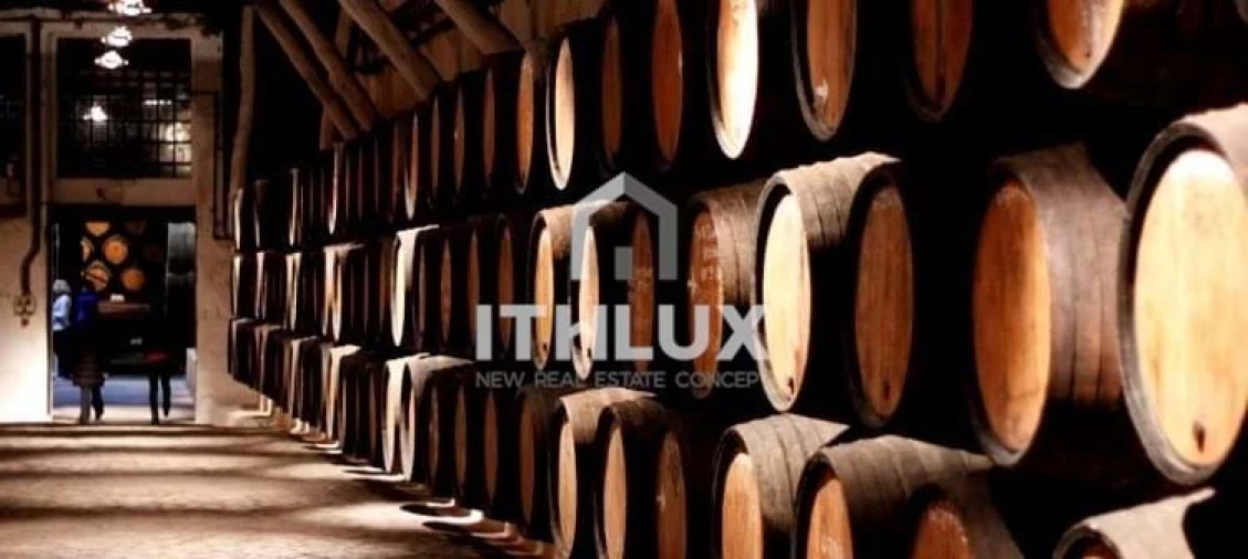 Moradia T9 para Venda em Pinheiros e Vale de Figueira Foto 28