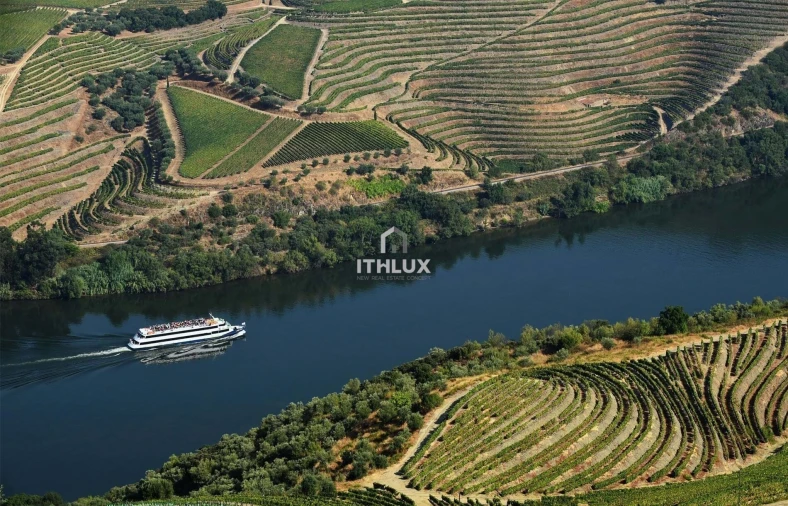 Moradia T9 para Venda em Pinheiros e Vale de Figueira Foto 21