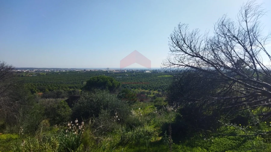 Terreno para Venda em Vila Nova de Cacela Foto 3