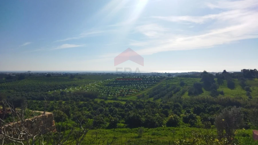 Terreno para Venda em Vila Nova de Cacela Foto 6