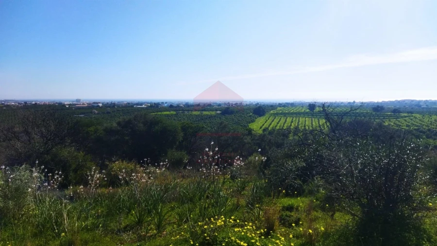 Terreno para Venda em Vila Nova de Cacela Foto 5